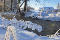 winter